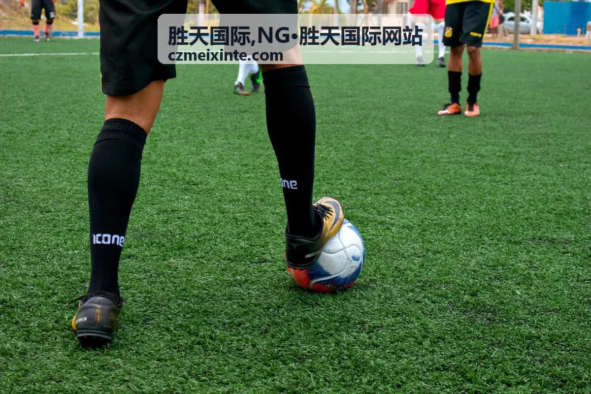 NG·胜天国际网站内容展示