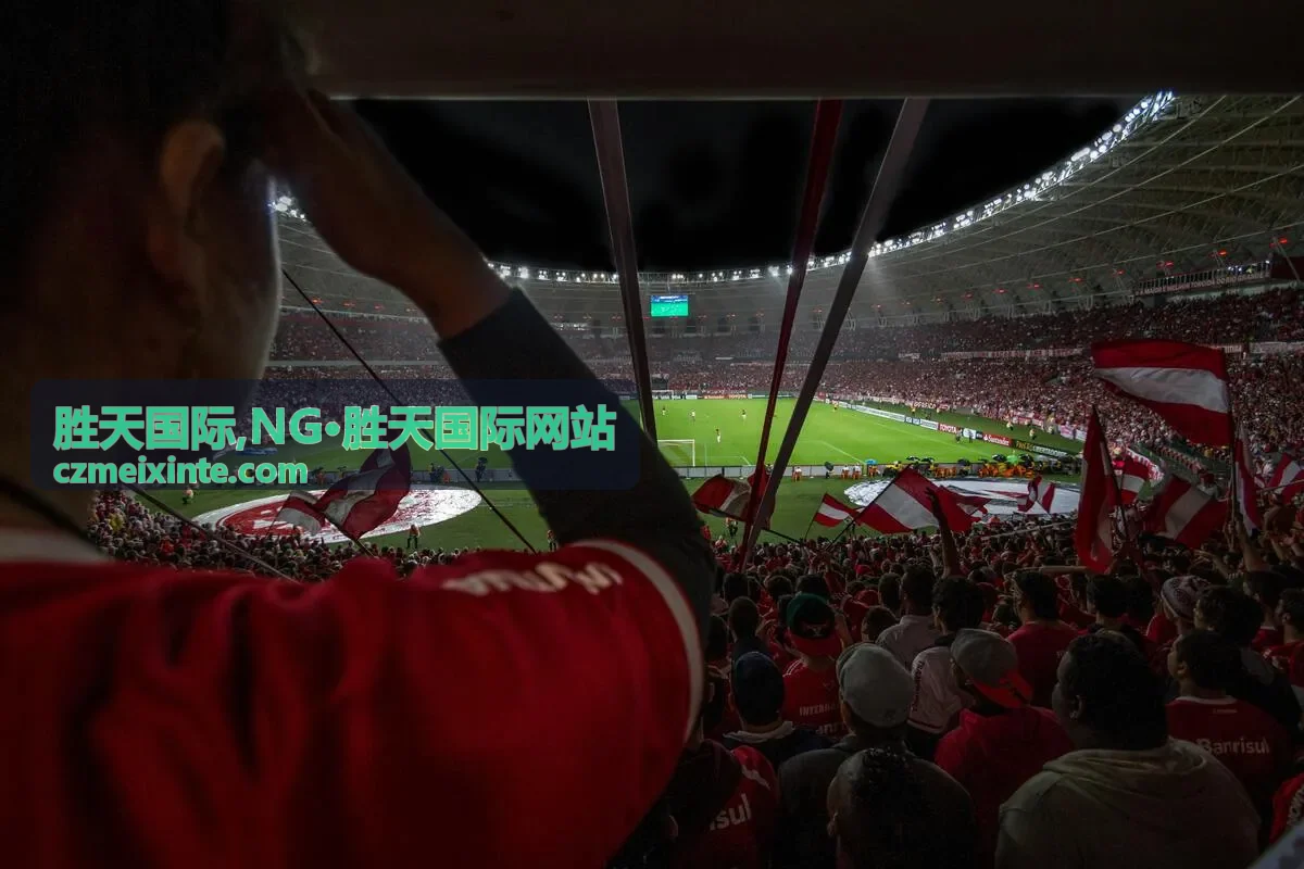 NG·胜天国际网站图文内容
