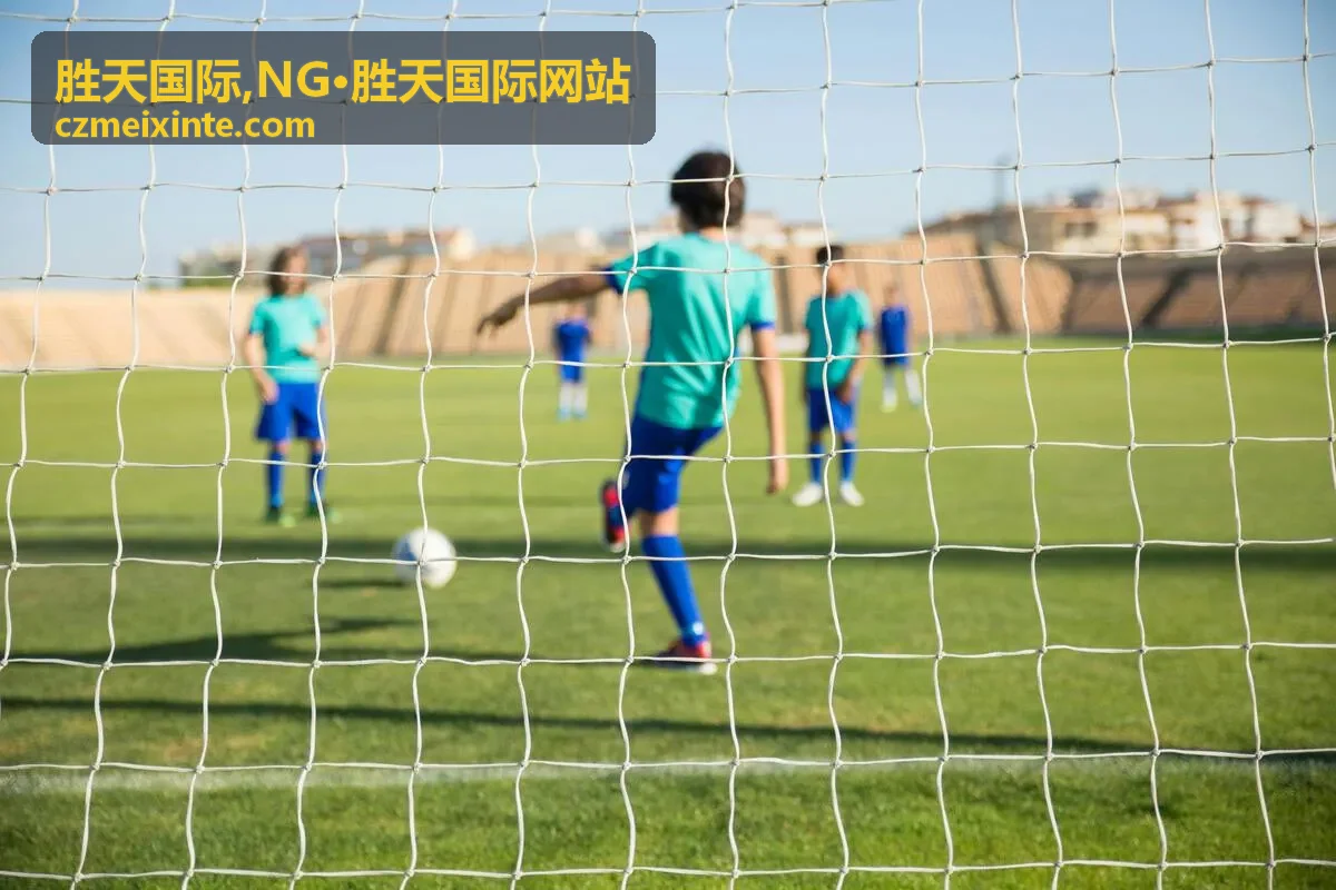 胜天国际常见问题说明